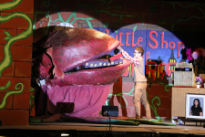 Little Shop of Horrors 39